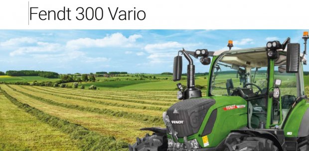 300 Vario.JPG